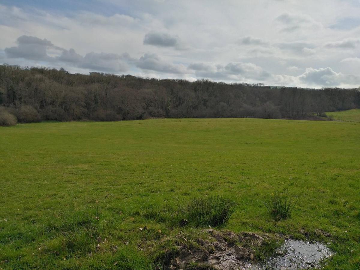 Llechryd The Mill Cottage מראה חיצוני תמונה