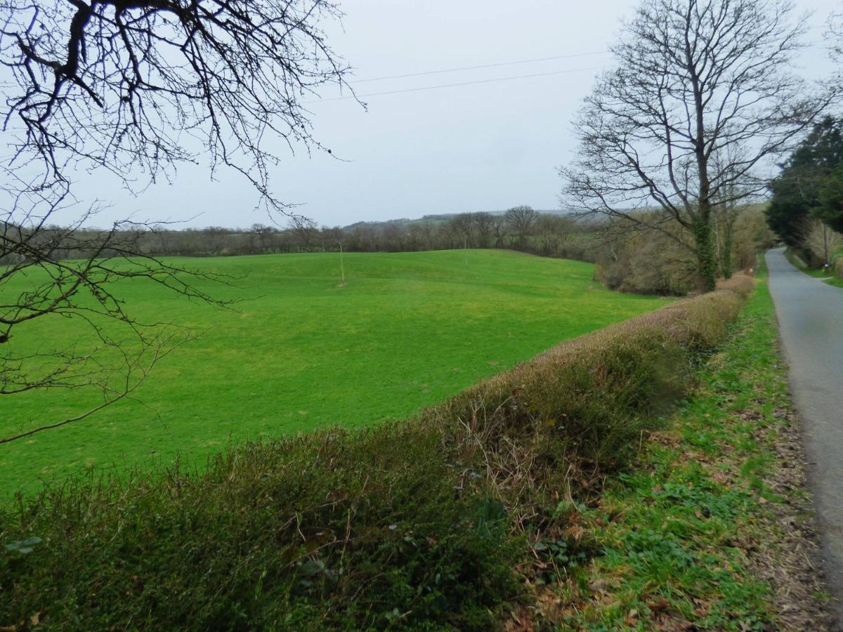 Llechryd The Mill Cottage מראה חיצוני תמונה
