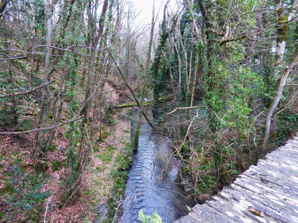 Llechryd The Mill Cottage מראה חיצוני תמונה