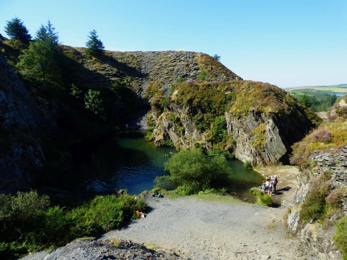 Llechryd The Mill Cottage מראה חיצוני תמונה