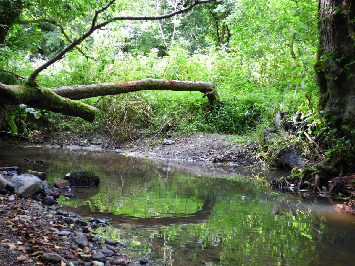 Llechryd The Mill Cottage מראה חיצוני תמונה